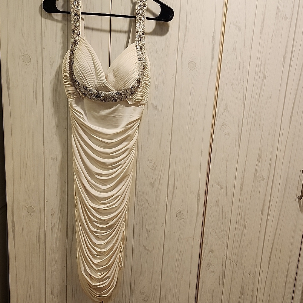 Cache Cream and Silver Backless Dress